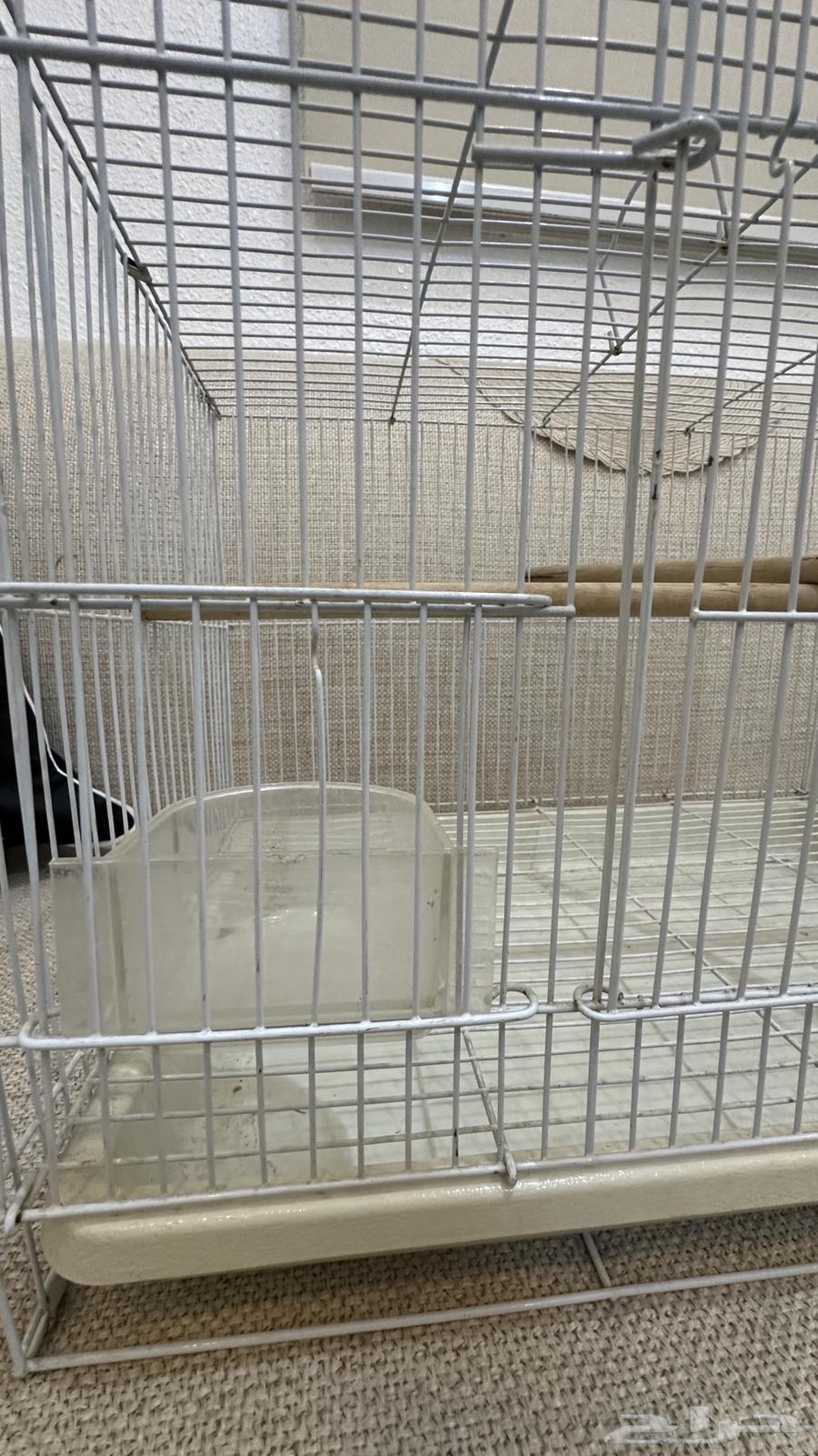 قفص طيور للبيع64490843478018111