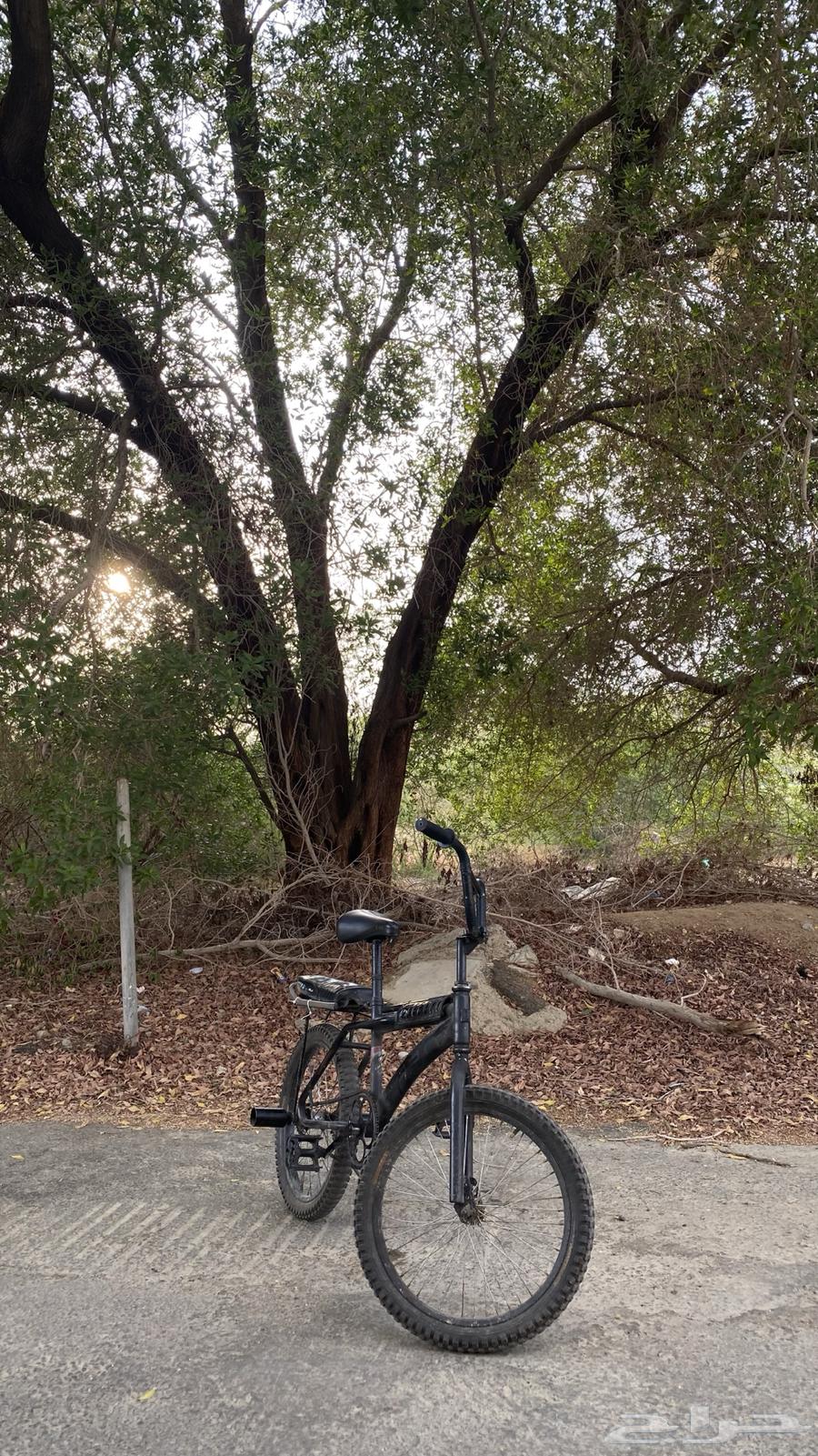 Bicycle RABO size twenty64492107760002110