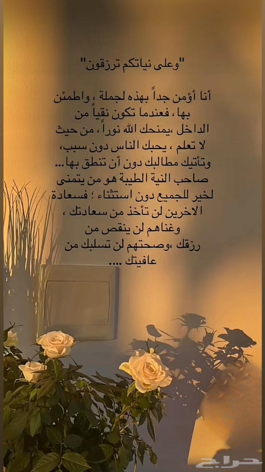 Mic Mike64492094419331113