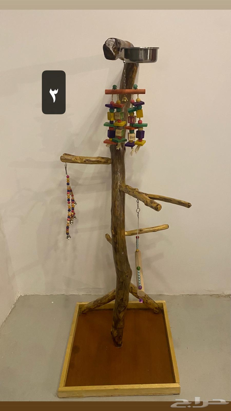 استاندات خشب للطيور64493286623489113