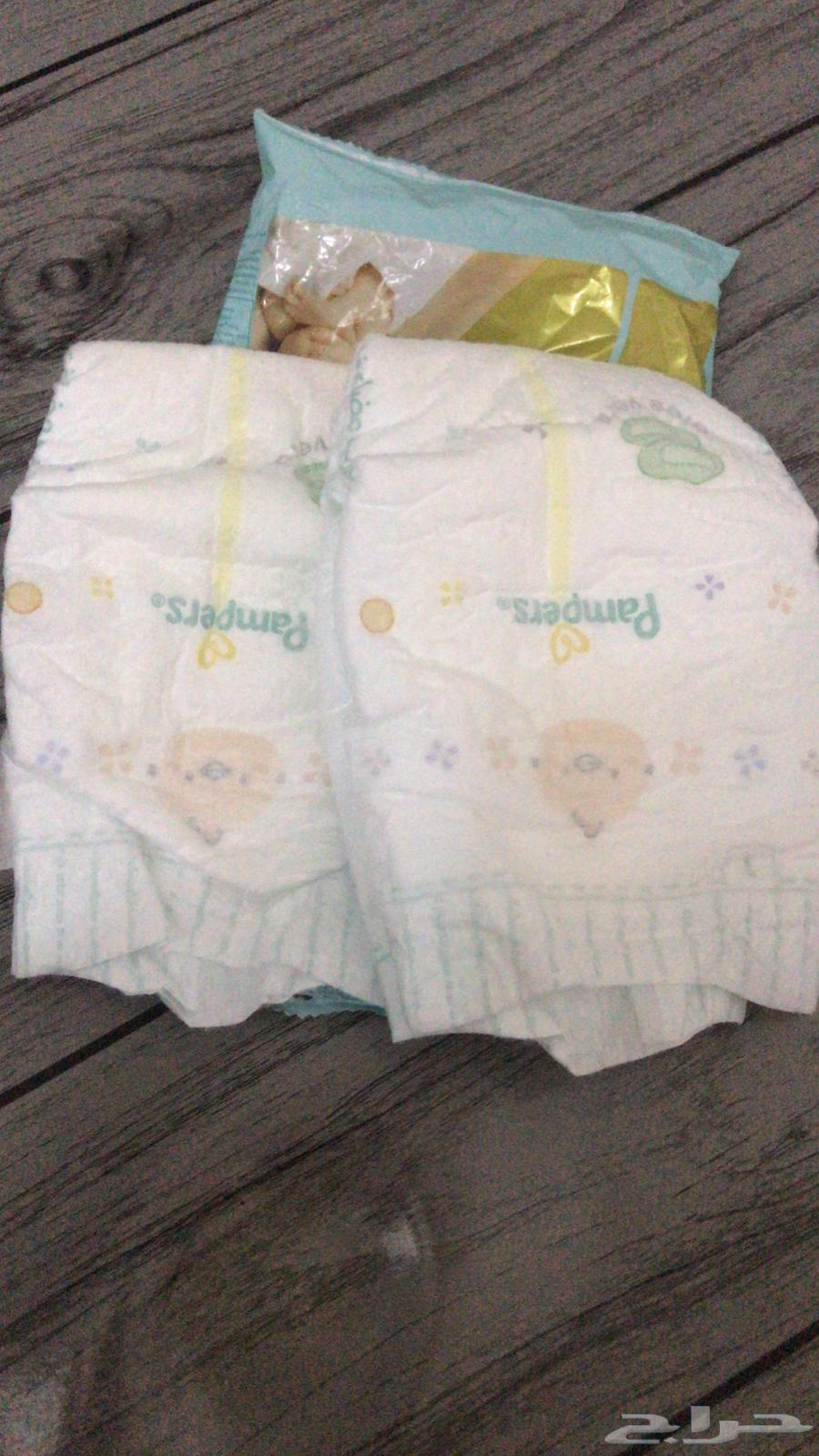 بامبرز رقم 164487332967809112