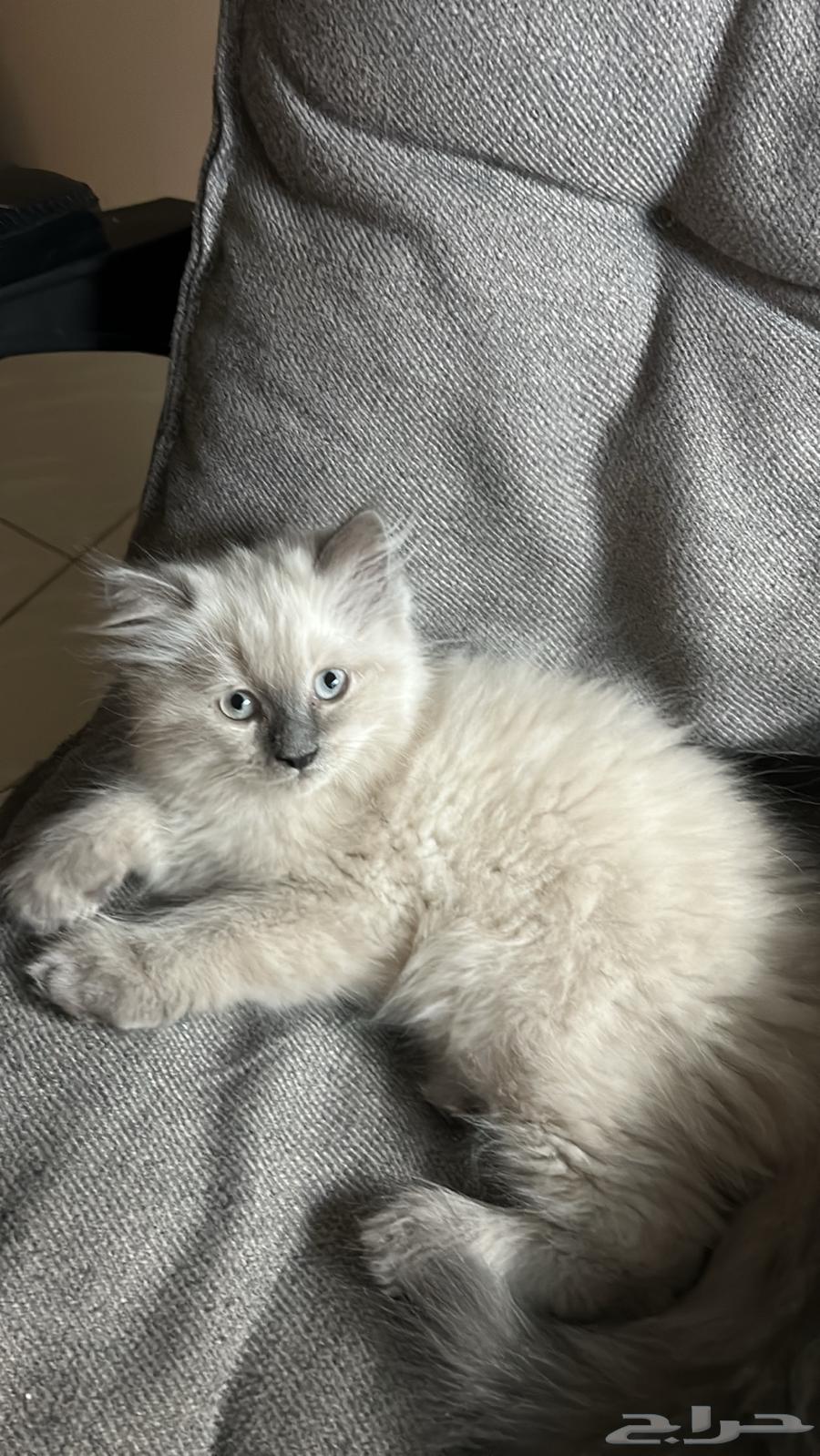 Enough64492813246594110