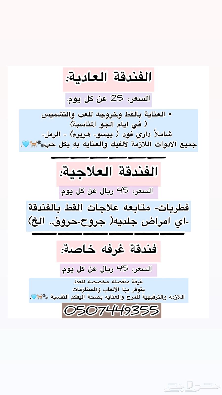 فندقة قطط حفر الباطن64227053166978113