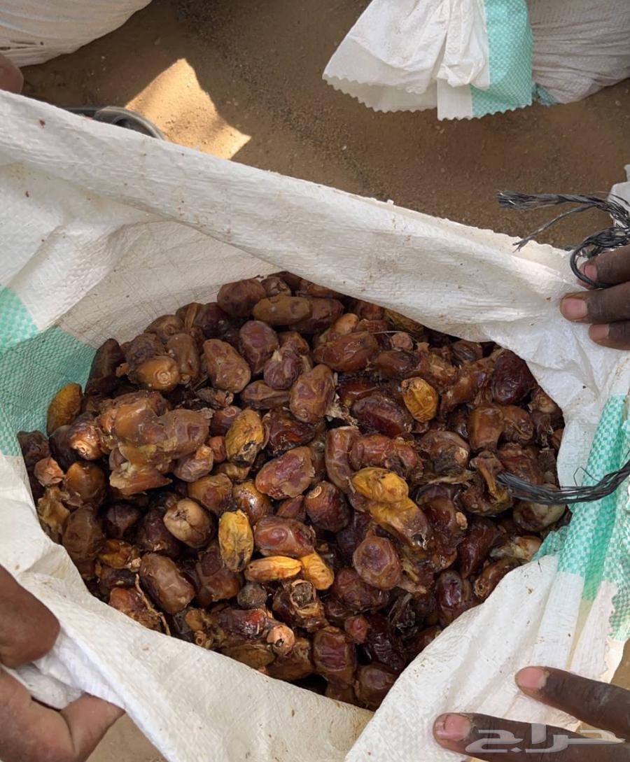 Premium dates64490619052675111