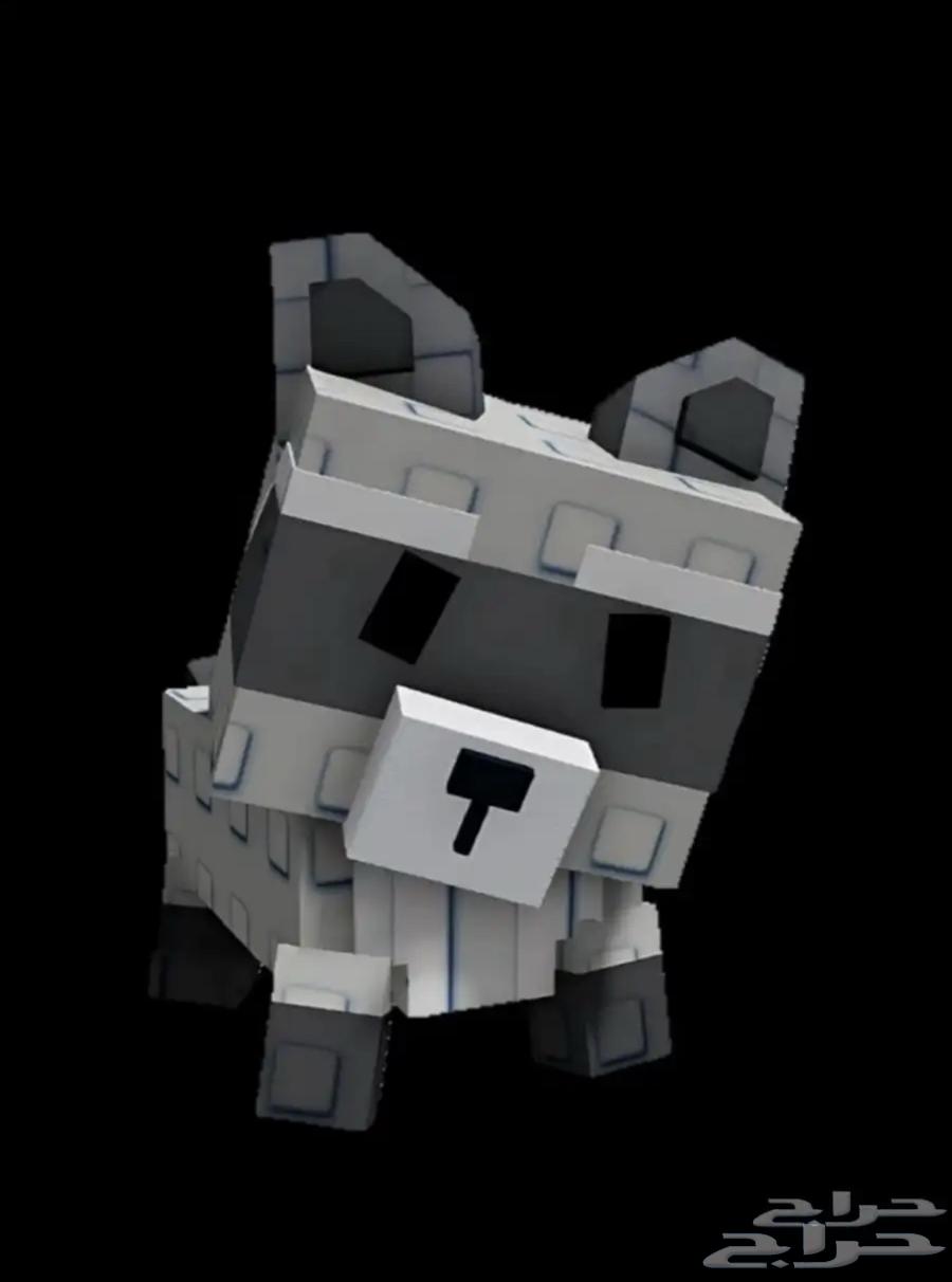 Raccoon map, the farm for 30 riyals, I really need it64487773948802110