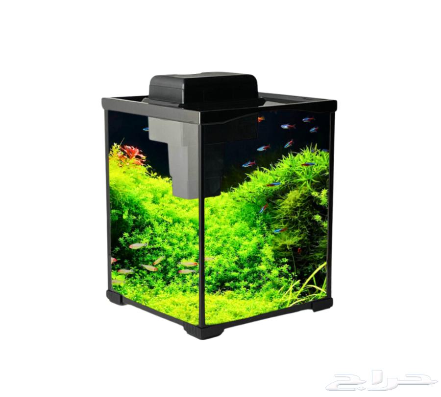 احواض سمك الزينة نظيفة64486329371778113