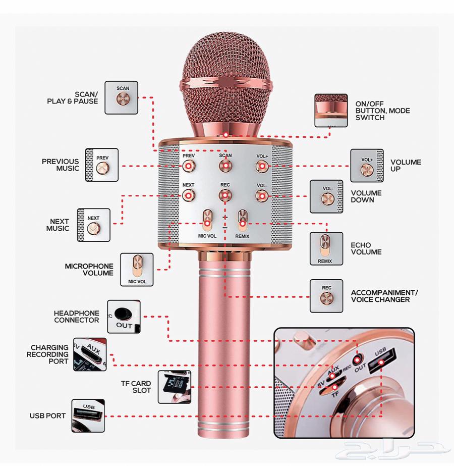 Mic Mike64492094419331111