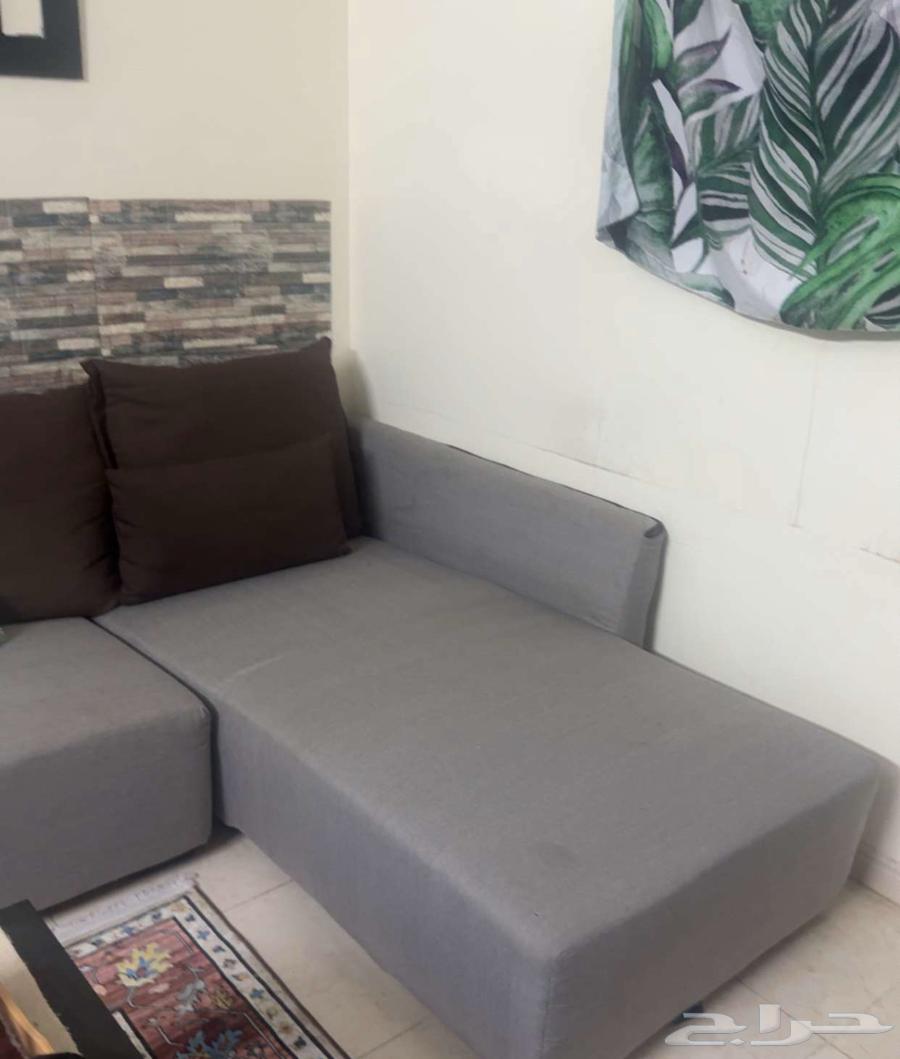 Sofa64491347229058111