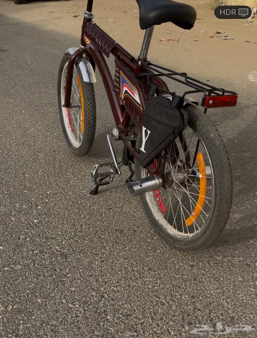 سيكل رامبو للبيع64486799450498114