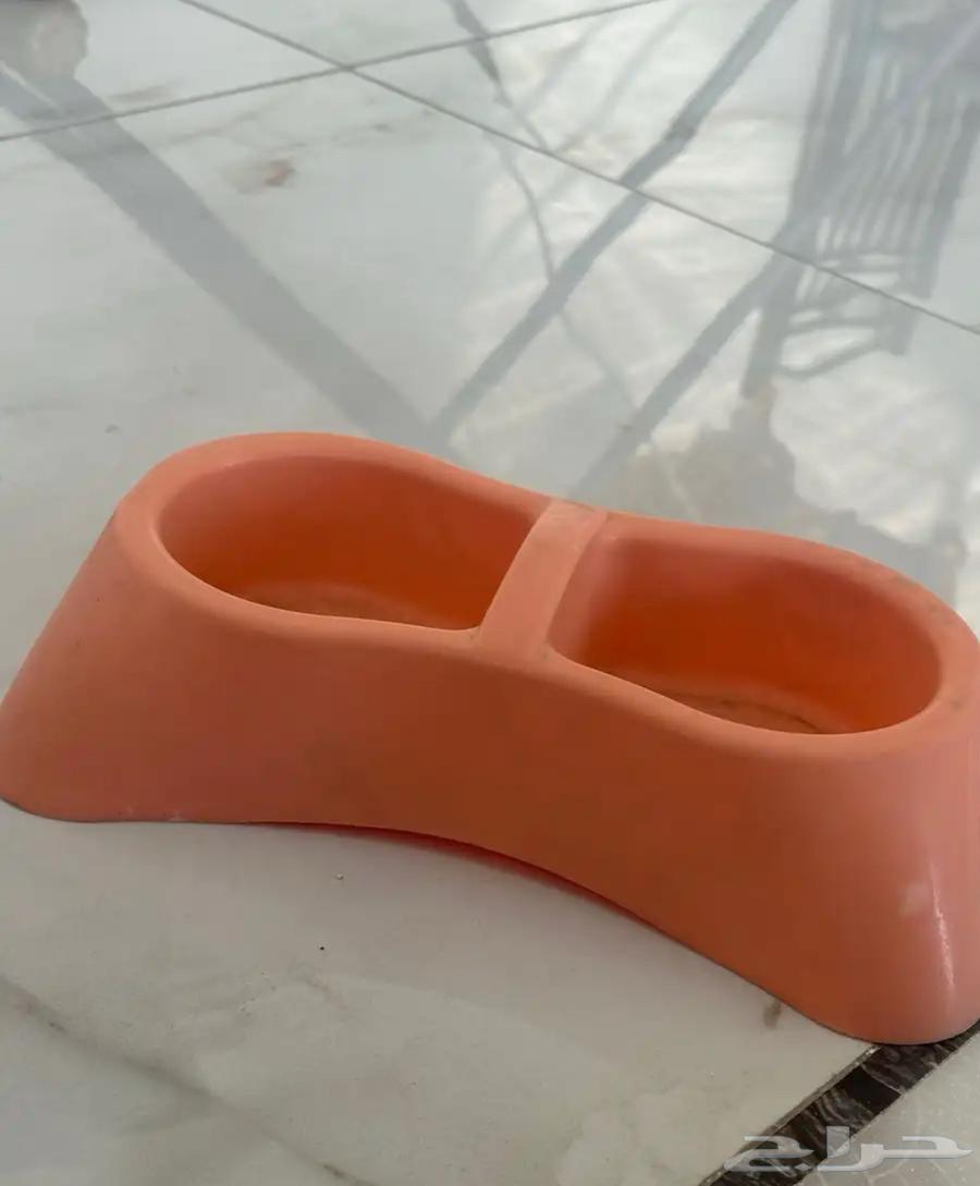 ليتر بركس و صحن اكل القطط64493614458369110