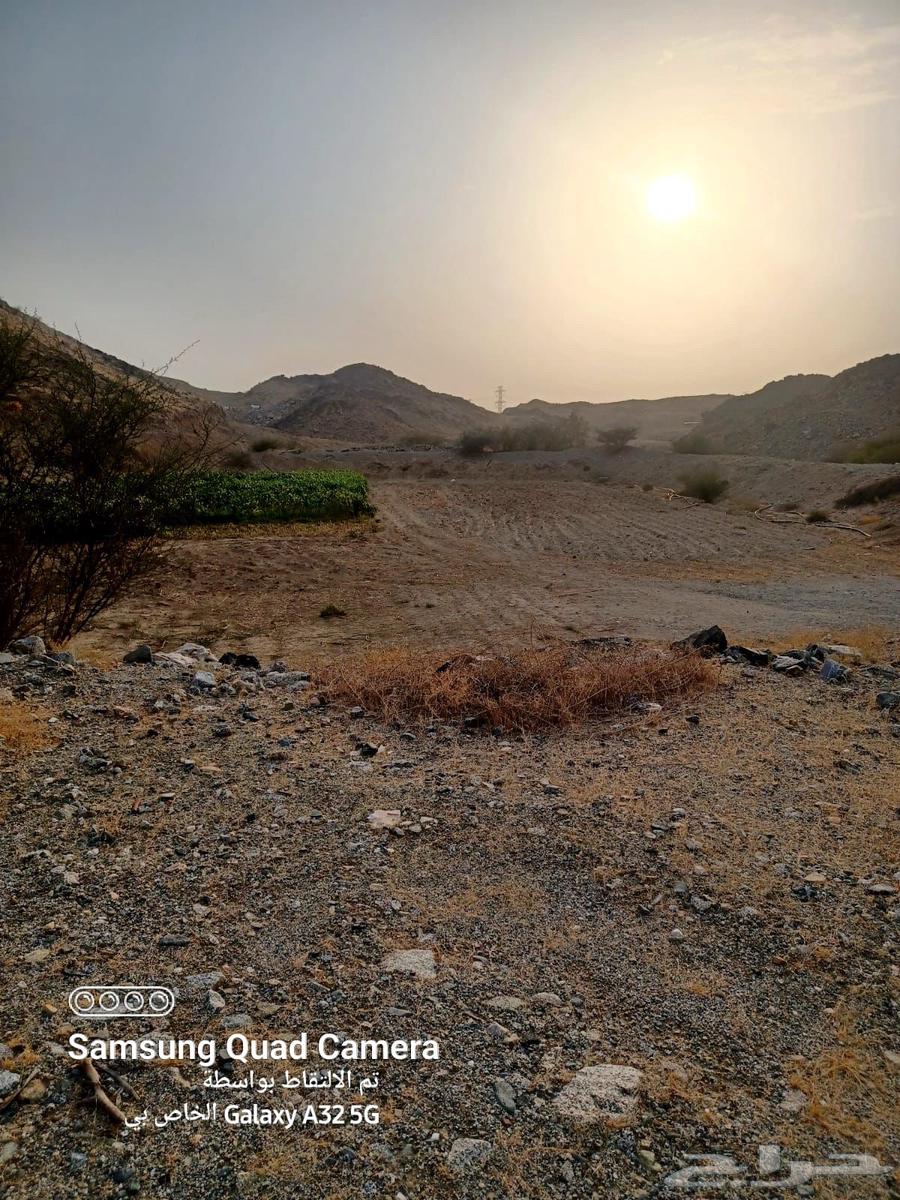 Agricultural land for sale in Makkah Al-Mukarramah64143379059075114