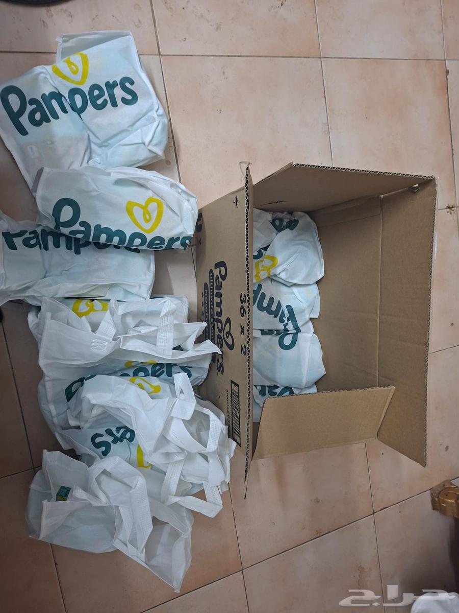 بامبرز رقم 164487332967809110