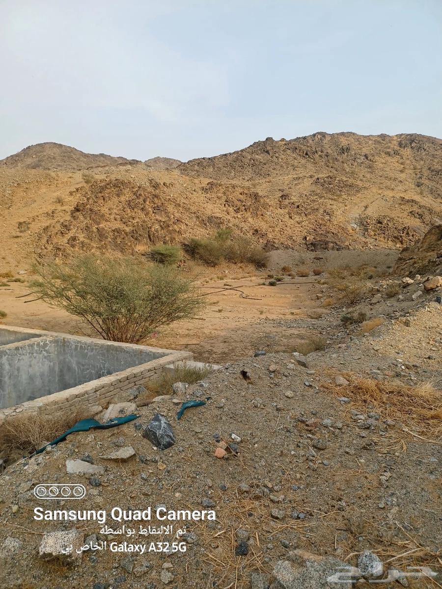 Agricultural land for sale in Makkah Al-Mukarramah64143379059075113