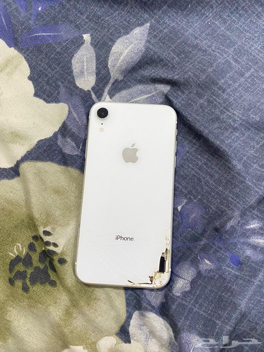 XR Phone64487525983489110