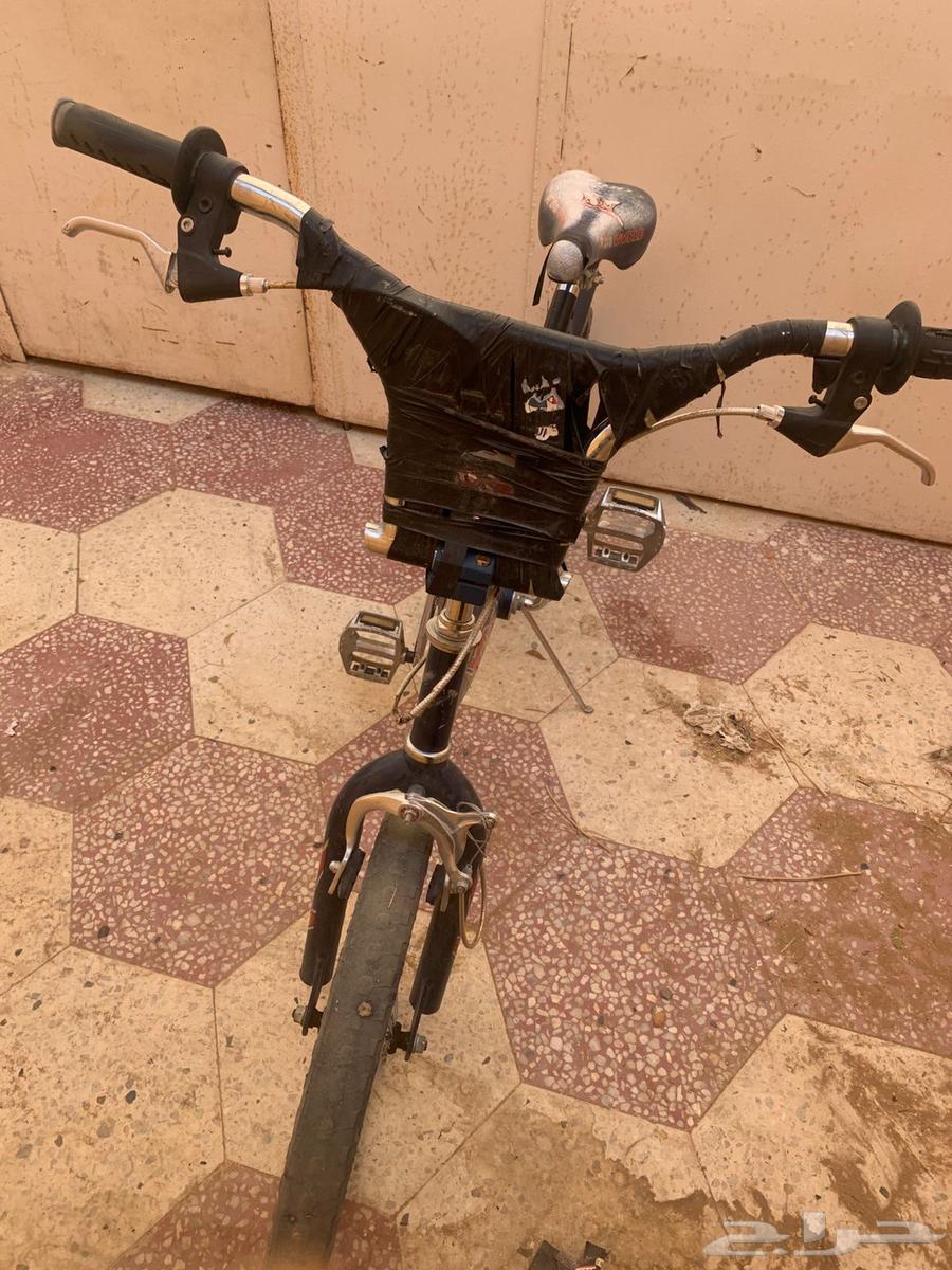 سيكل للبيع نوع كوبراء64488353642369113