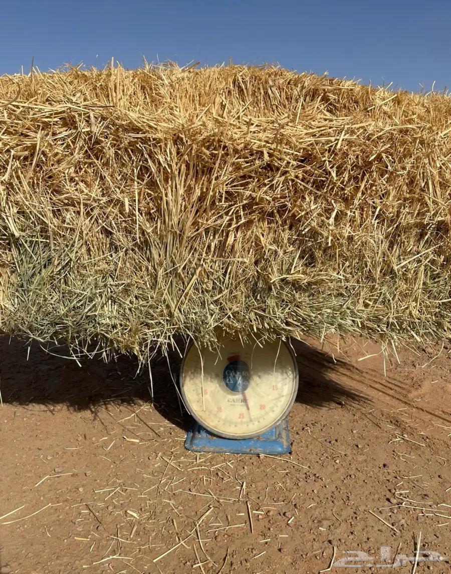 رودس طيب للبيع64487429342850111