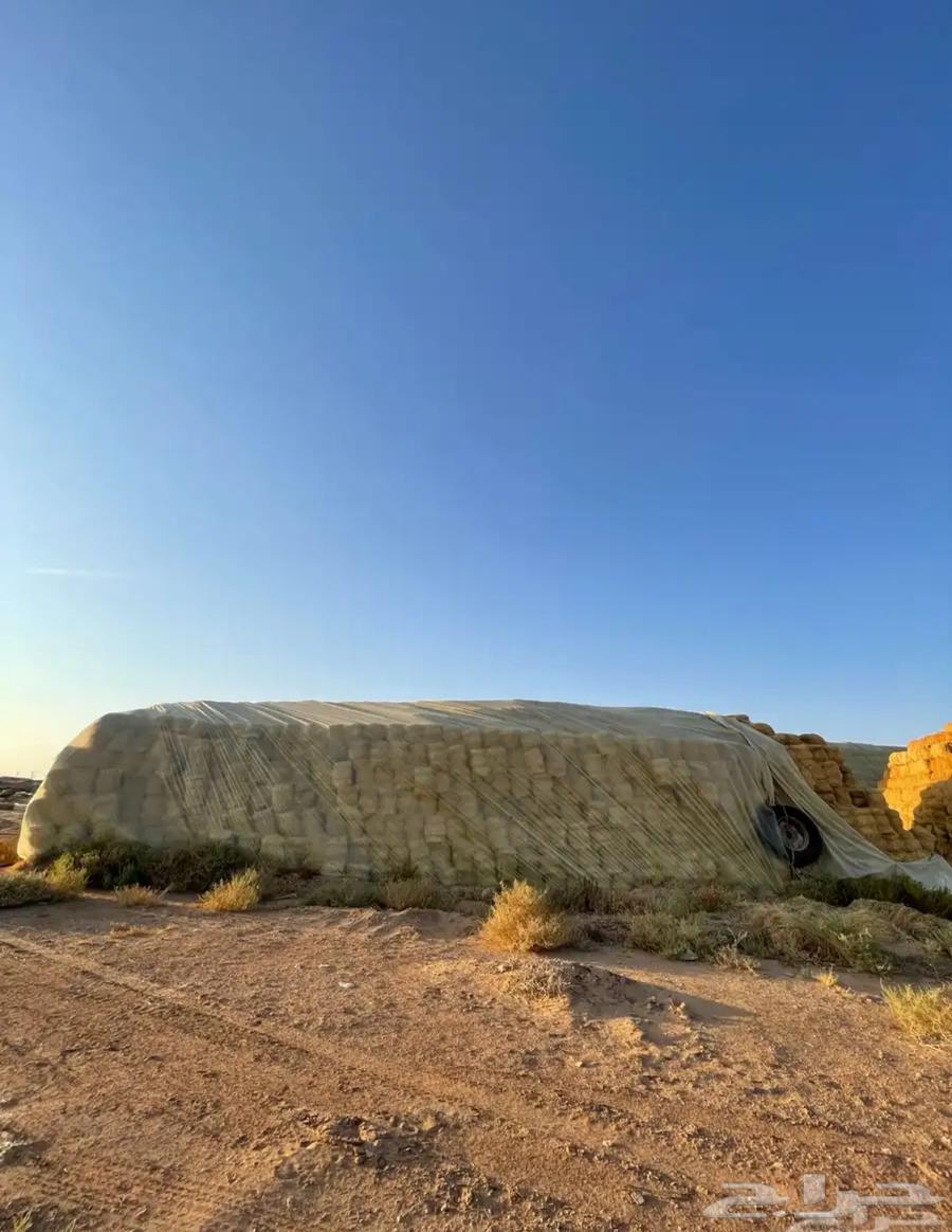 رودس طيب للبيع64487429342850112