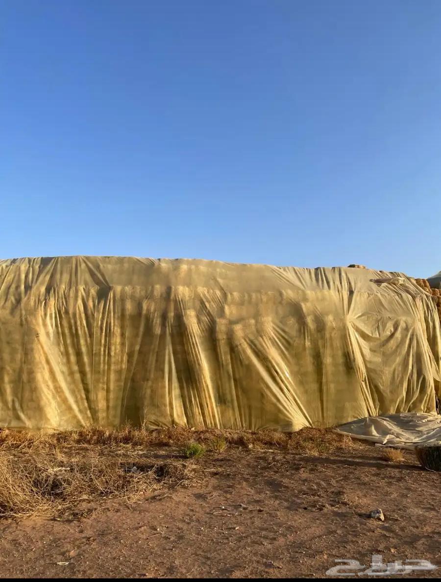 رودس طيب للبيع64487429342850110