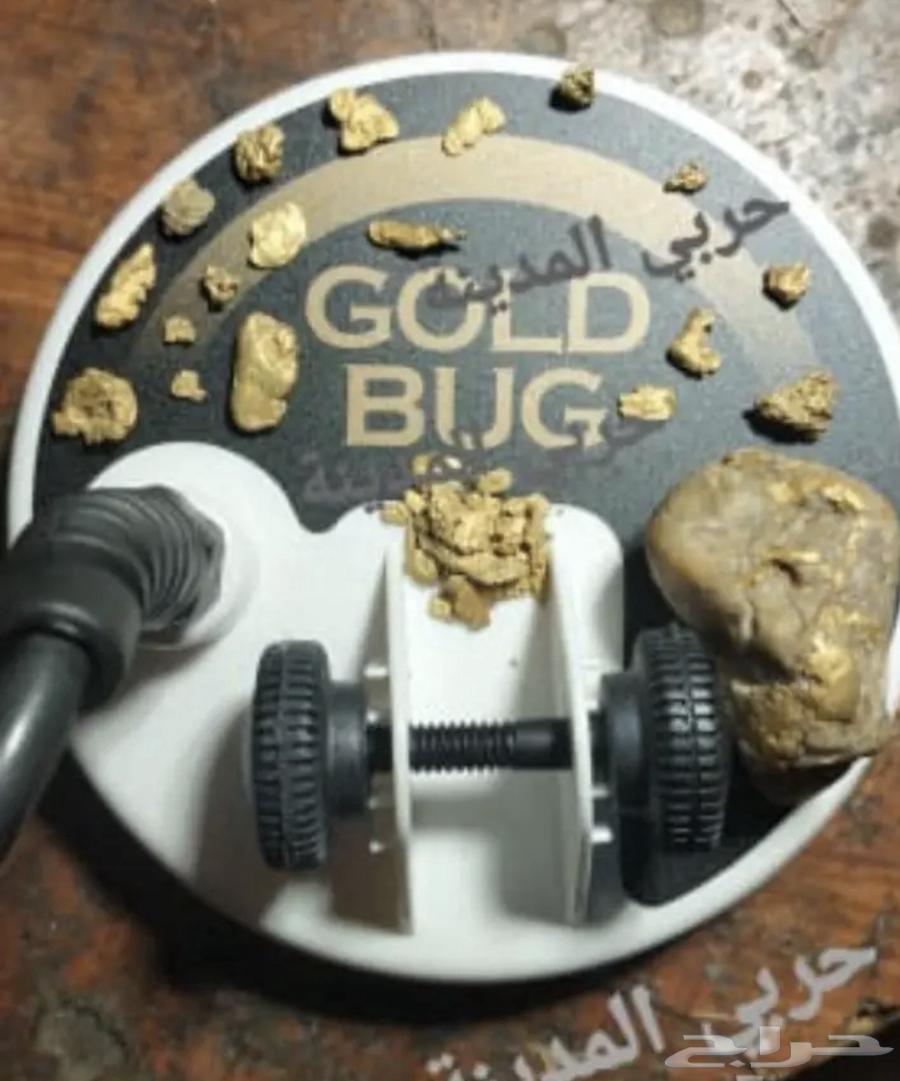 كاشف الذهب والمعادن الأمريكي فيشر قولد64492622494210112
