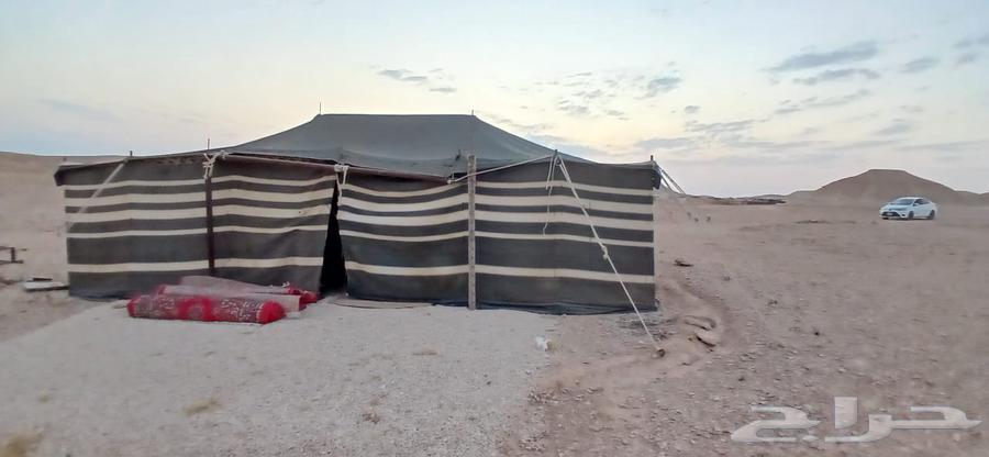 بيت شعر للبيع64486496808962110