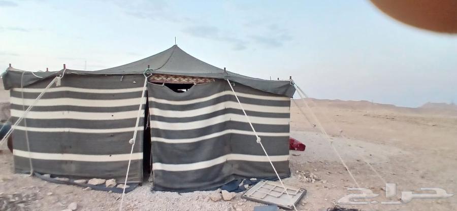 بيت شعر للبيع64486496808962112