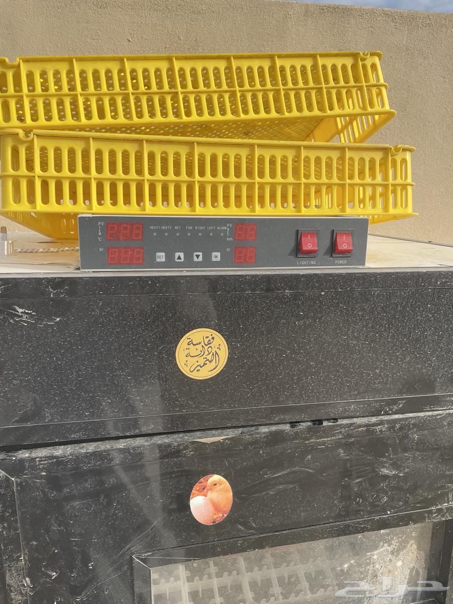 فقاسة للبيع64492134900482114