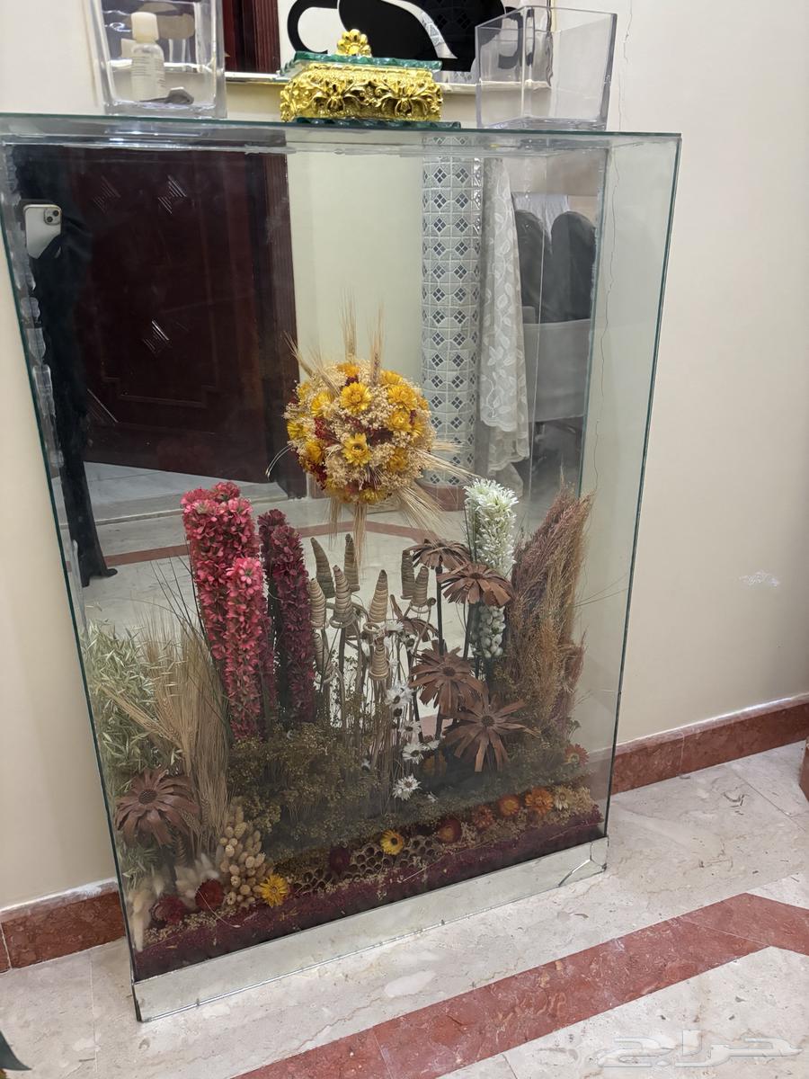 Sofas, curtains, paintings, carpet, ashtray box and glass view64486647854594110