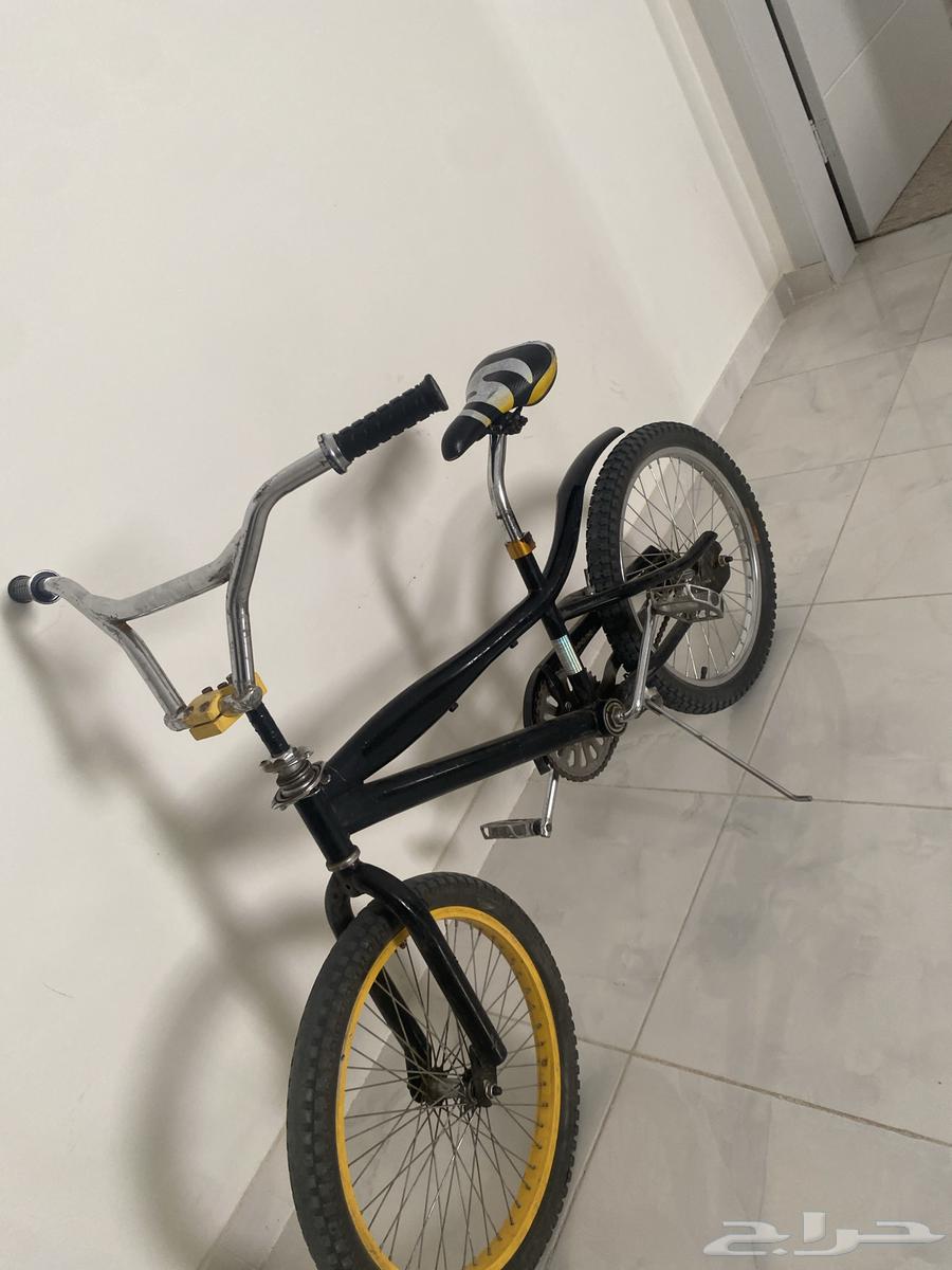 Cobra bicycle size 2064490605128833111