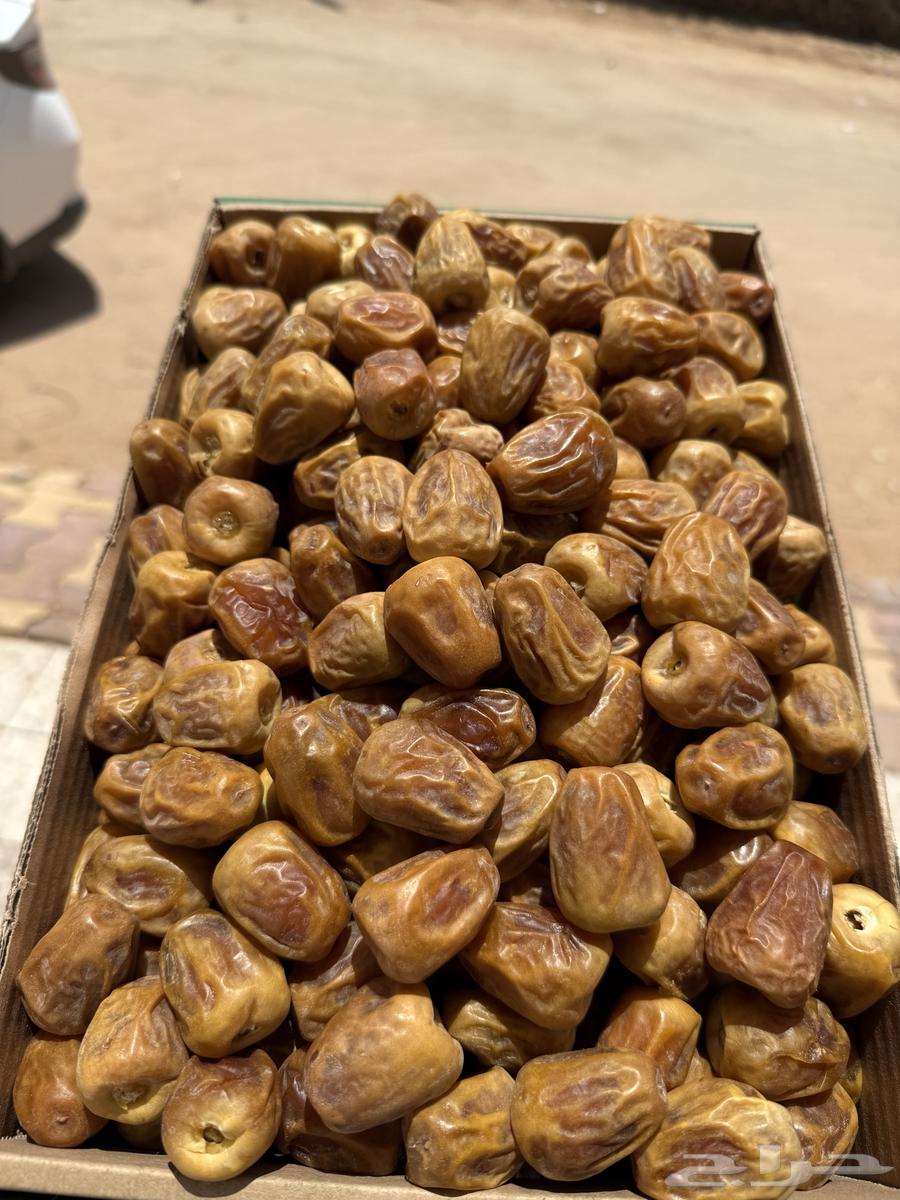 High-quality twisted sugar dates64489336464385110