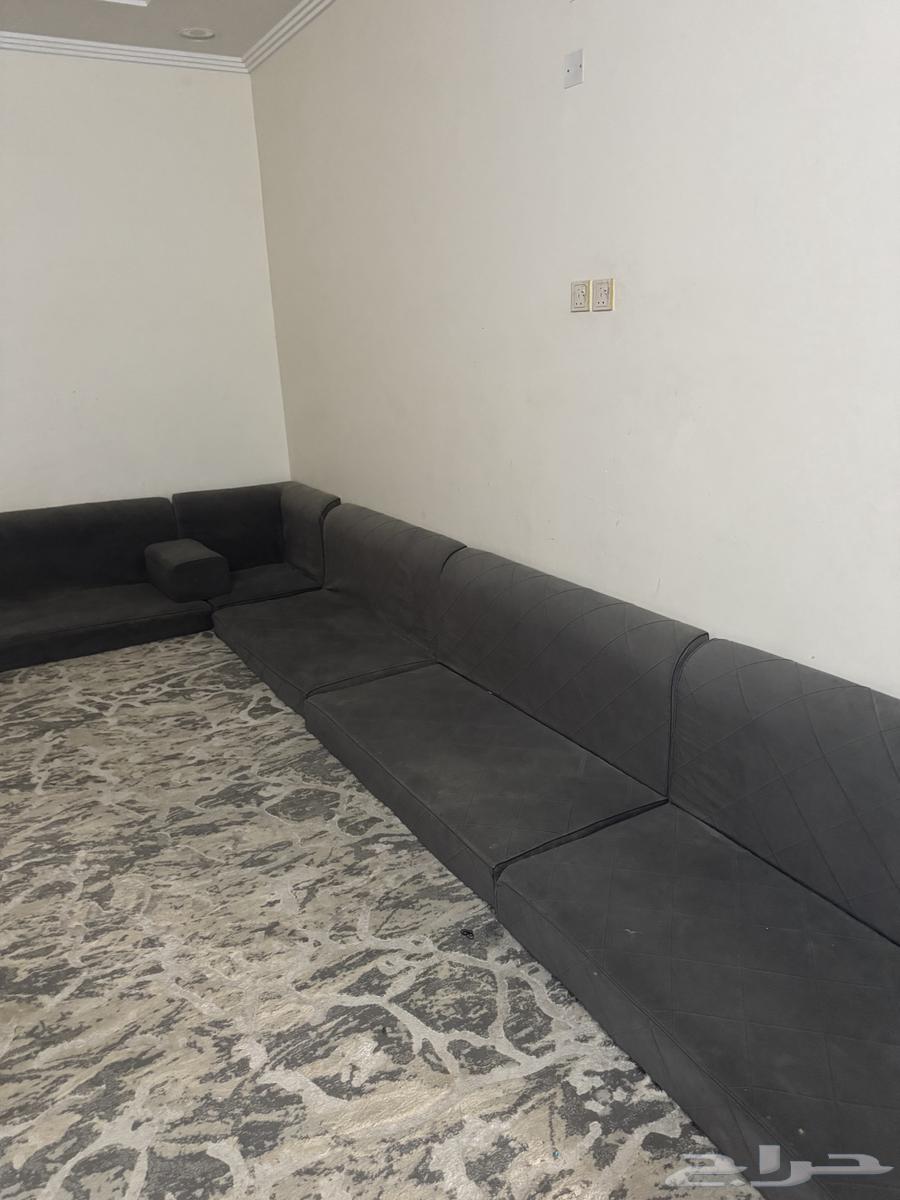 كنب للبيع معلومات ف الخاص64489834230145112