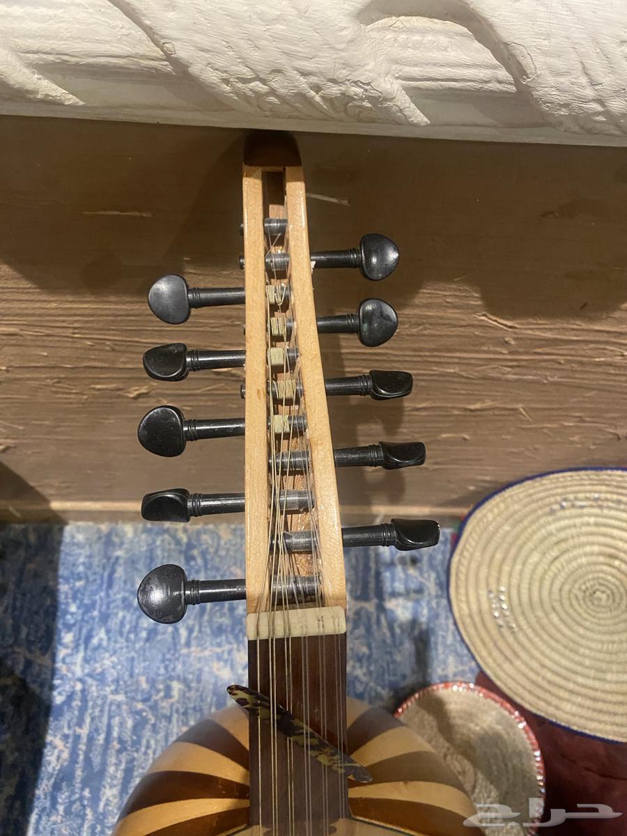 عود بحريني64491700488450113