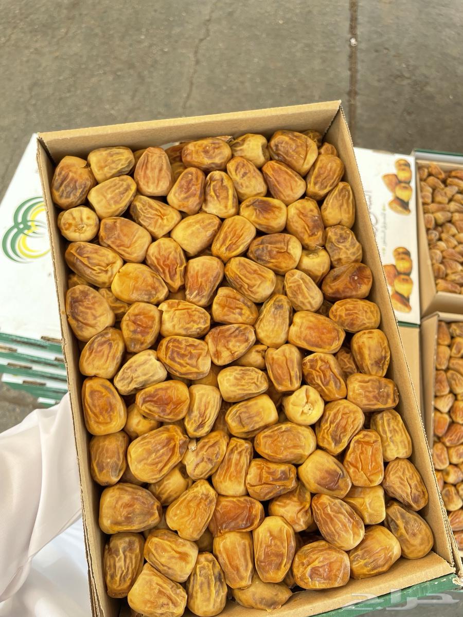 لبيع الجمله فقط سكري مكنوز   سكري مفتل64493532575747111