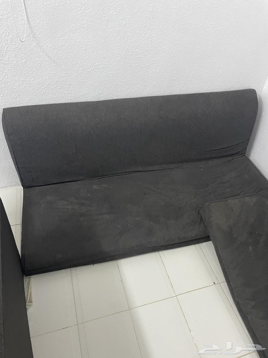 Gray sofa for floor64493477855363113