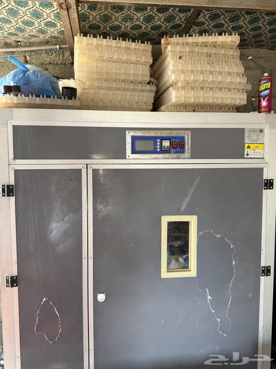 Incubators for sale64489888676483112