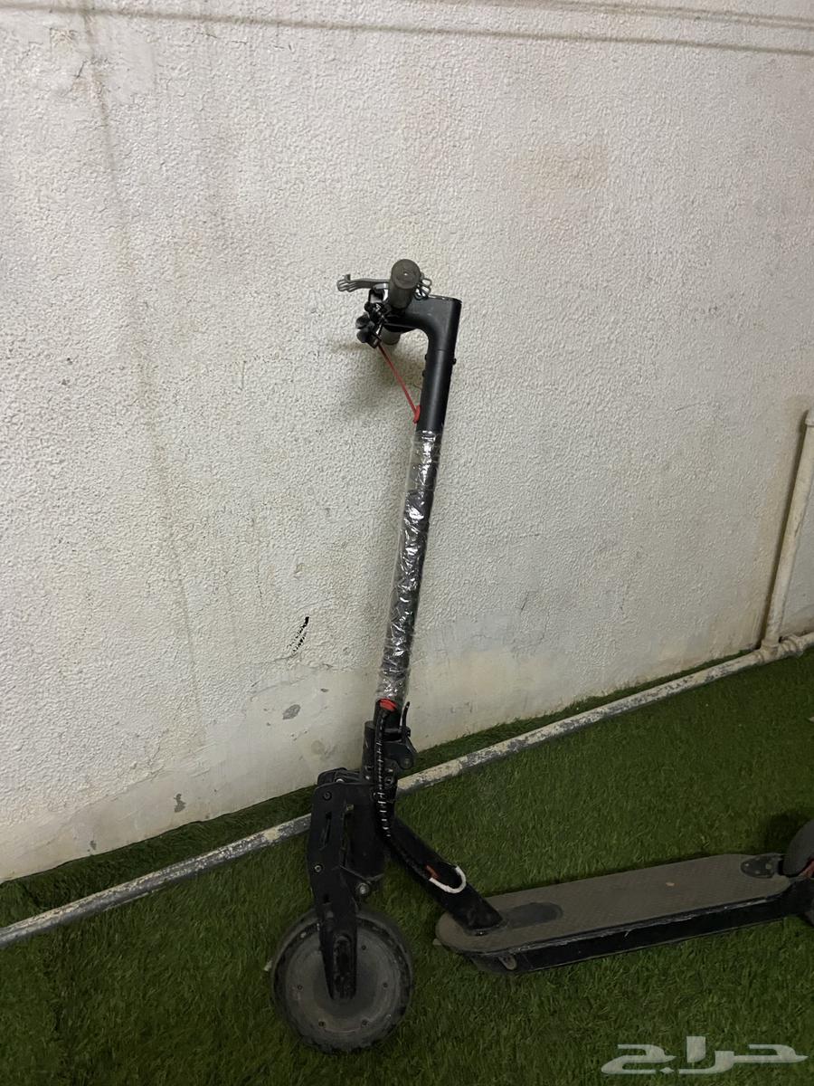 سكوت النظيف لا يوجد عيوث حدي 300 ريال اللي صامل يجيني64487216988163114