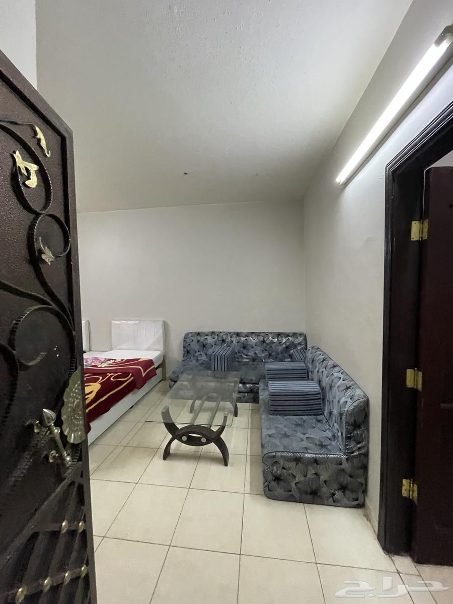 شقة للإيجار