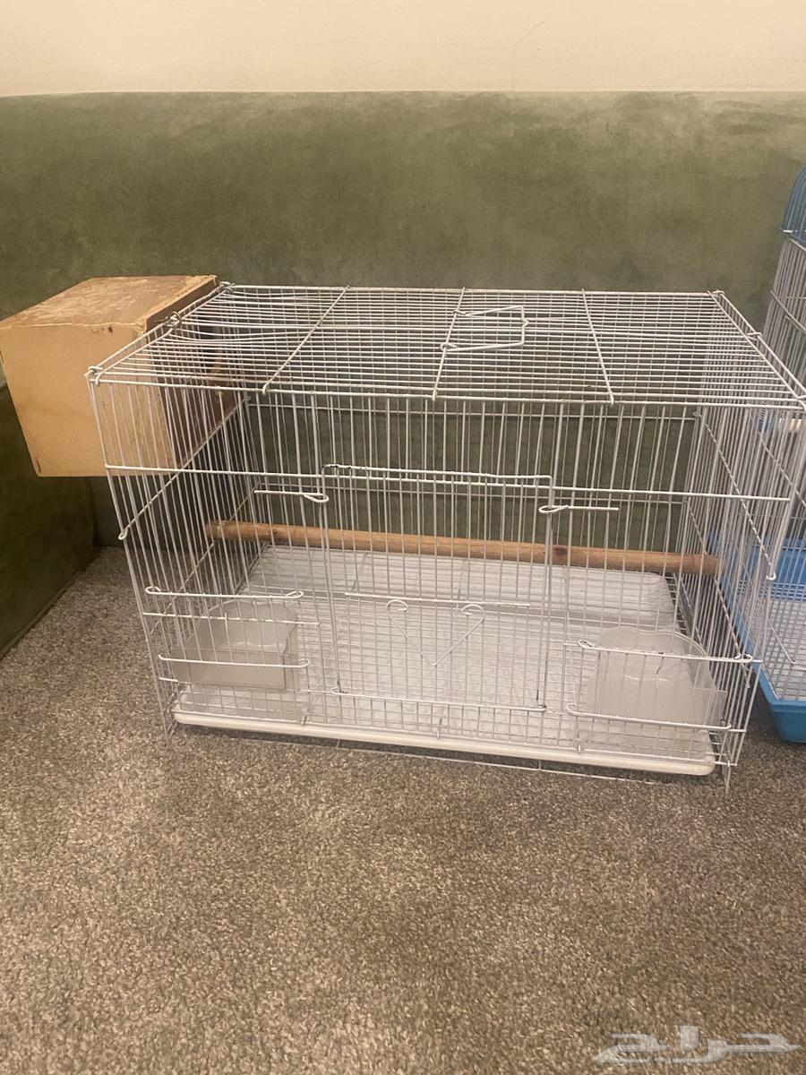 Clean cages64492053918209114