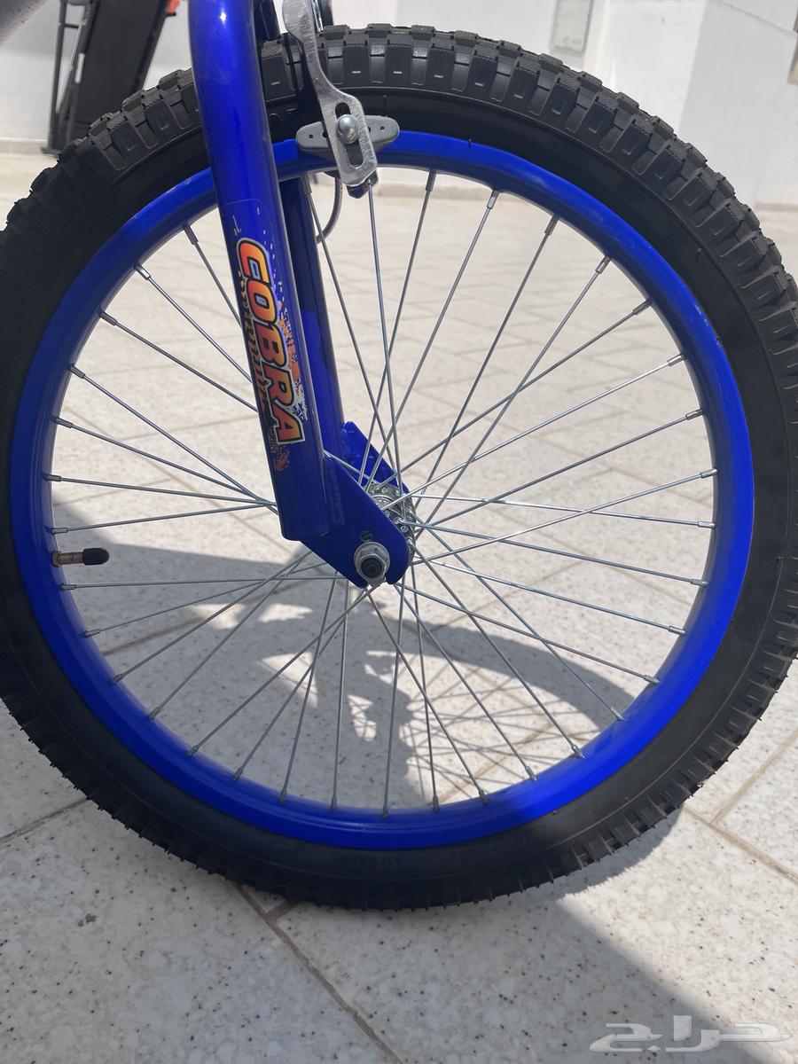 Cycle64488408222593111