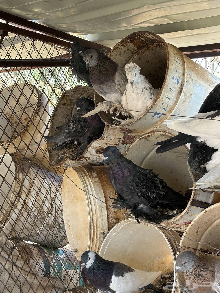 Zaina Bath64487924709378110