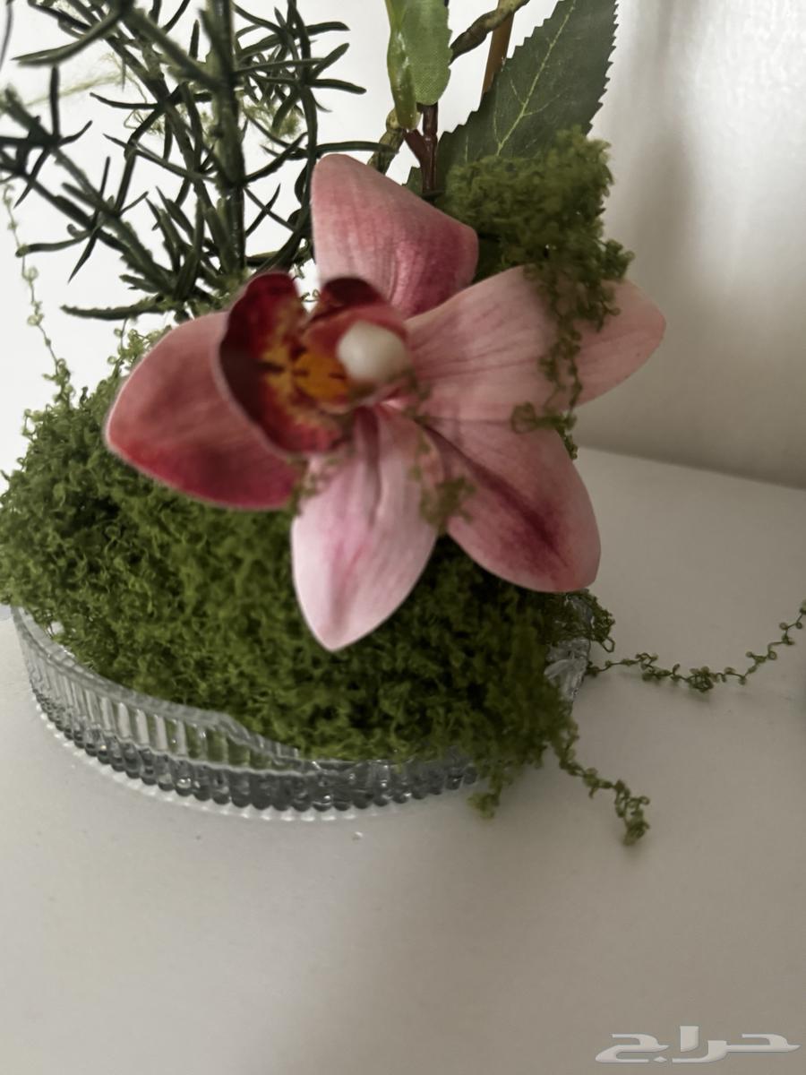 ستاندات مع بوكيه ورد استقبال مواليد.64489834222850114