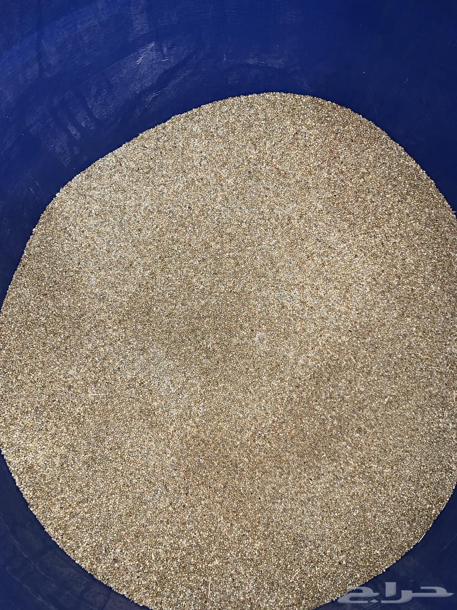 دخن للبيع64493218884099111