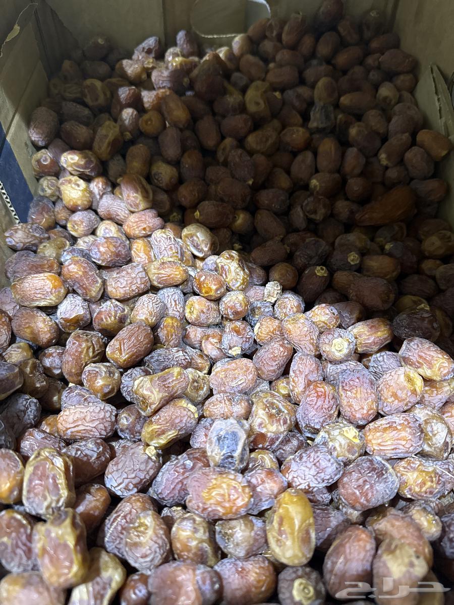 رباب او رب للبيع جديد تو مصلح اليوم من نخل بيتنا64486385275906111