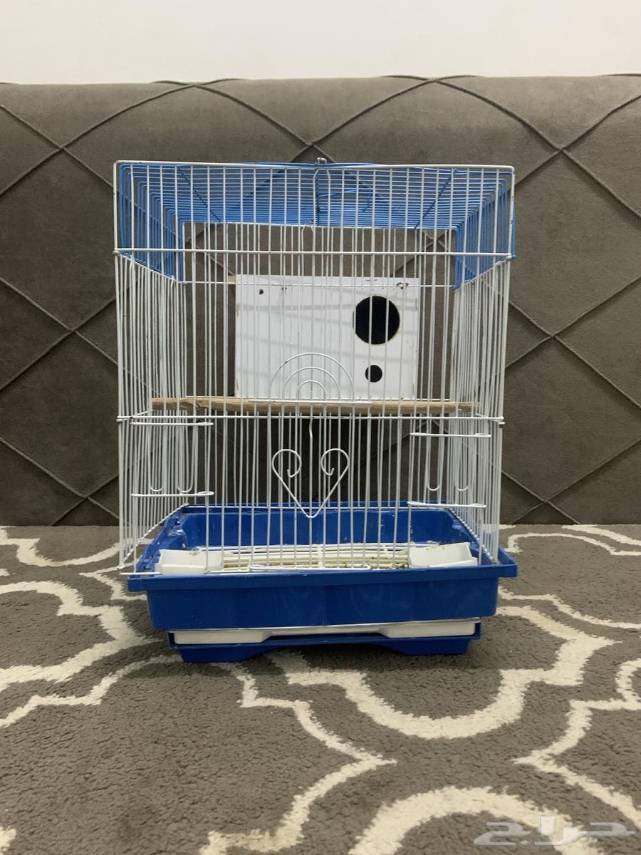 قفص للبيع مع الفقاسه64488090597889111