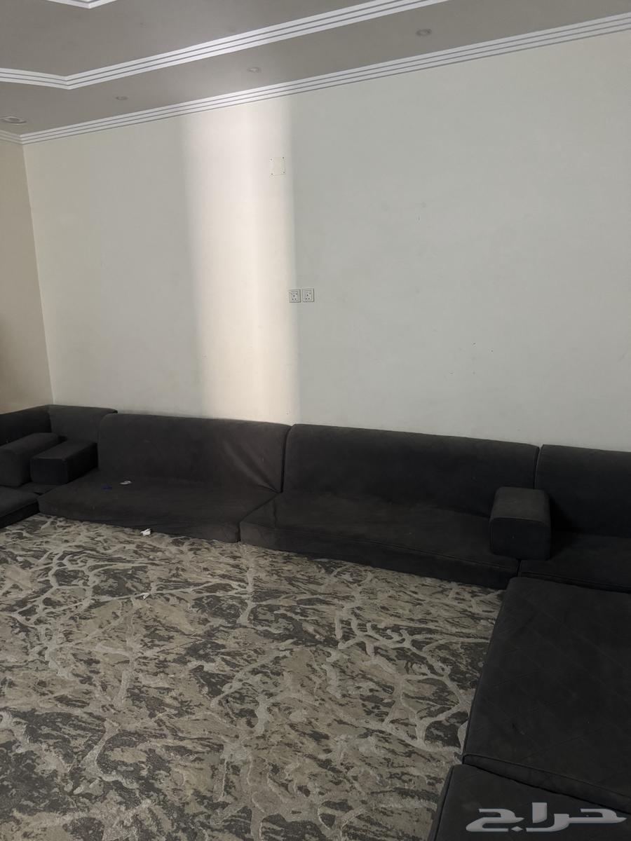 كنب للبيع معلومات ف الخاص64489834230145111