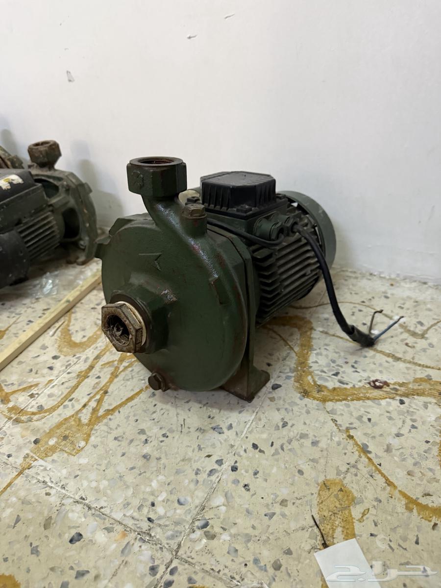 دنمو إيطالي64665269545859111