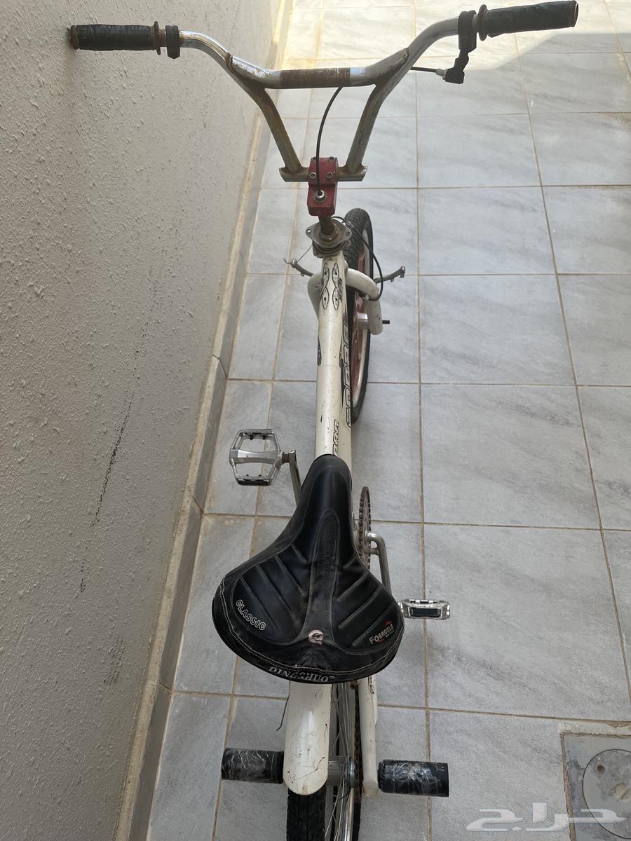 Rare Cobra Cycle64491116741122111