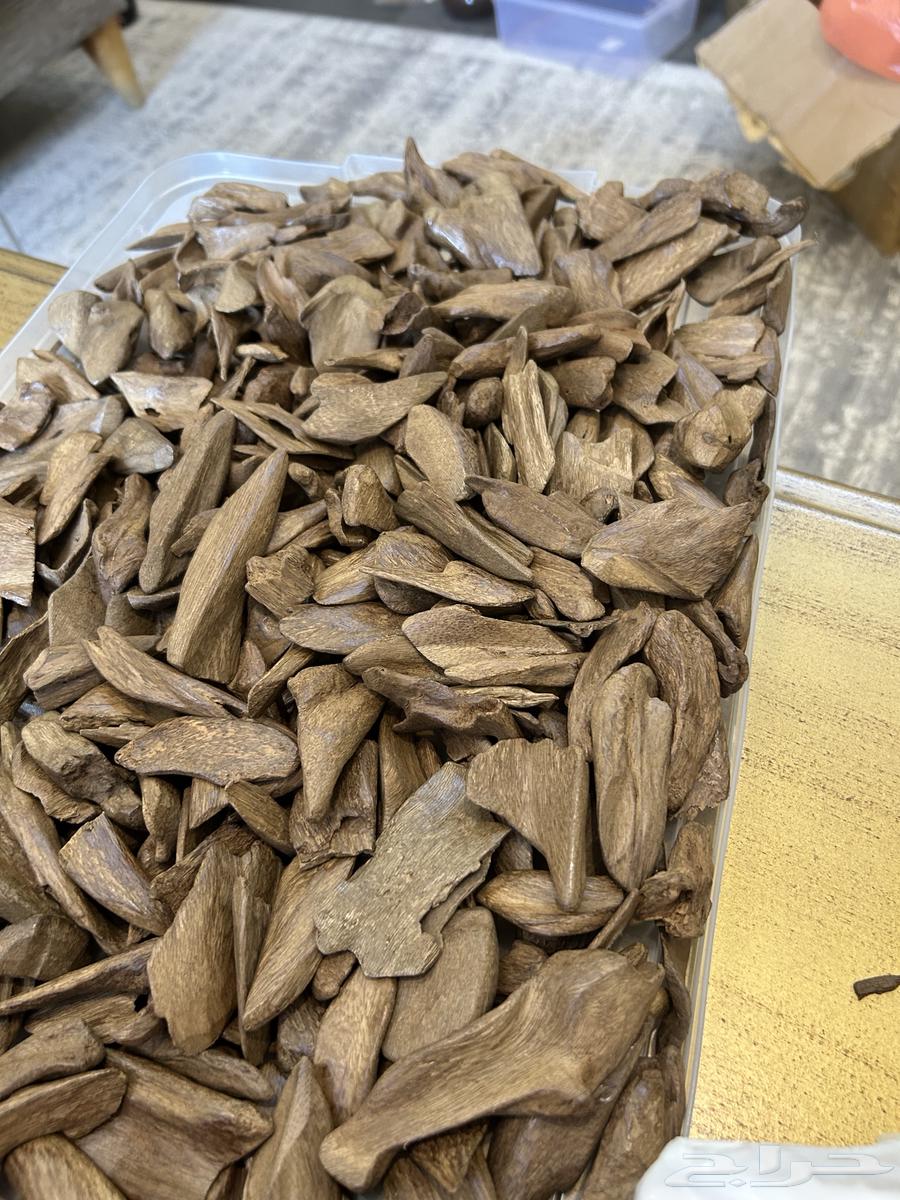 عود موروكي سوبر واعلى64489972540290110