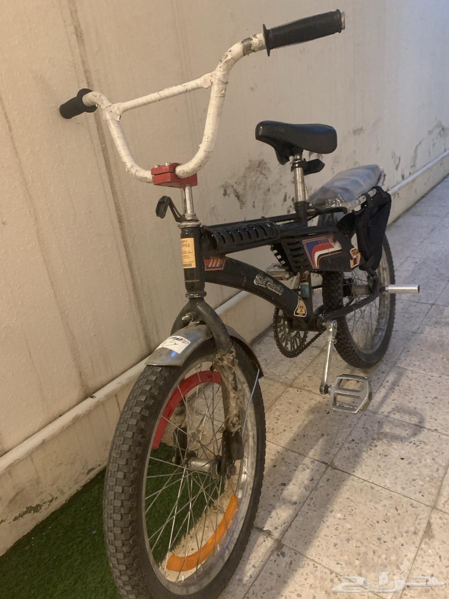 سيكل رامبو مقاس 20 اصلي اندنوسي درجه اولى64492175485186110