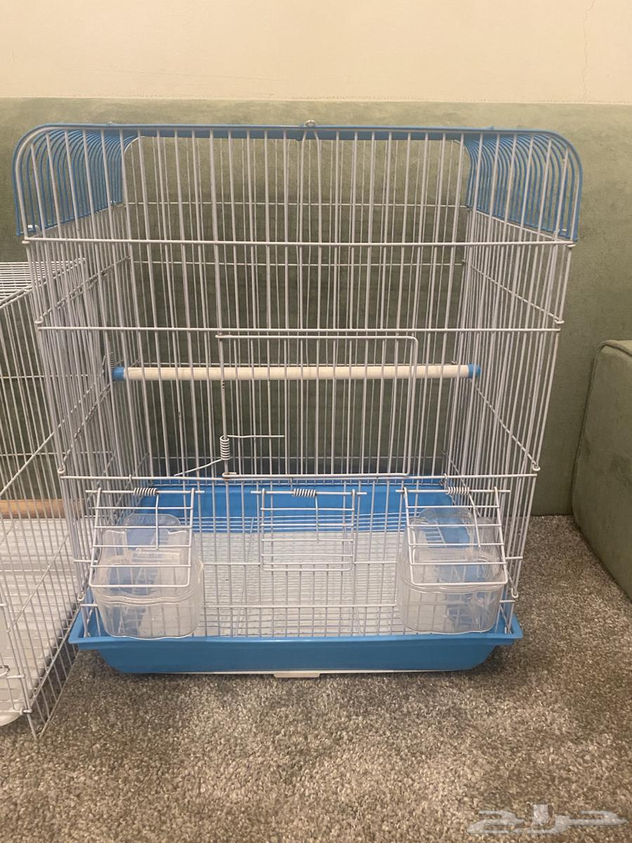 Clean cages64492053918209111