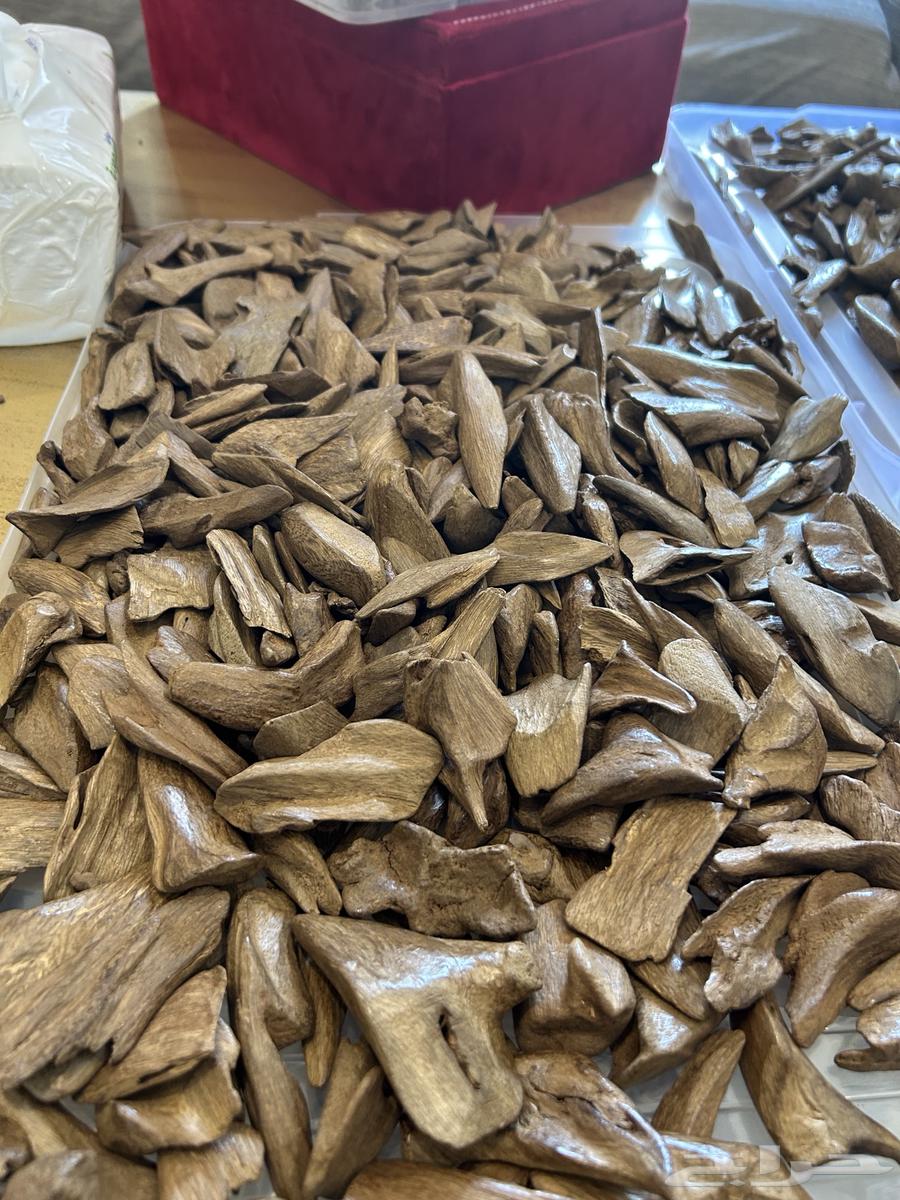 عود موروكي سوبر واعلى64489972540290111